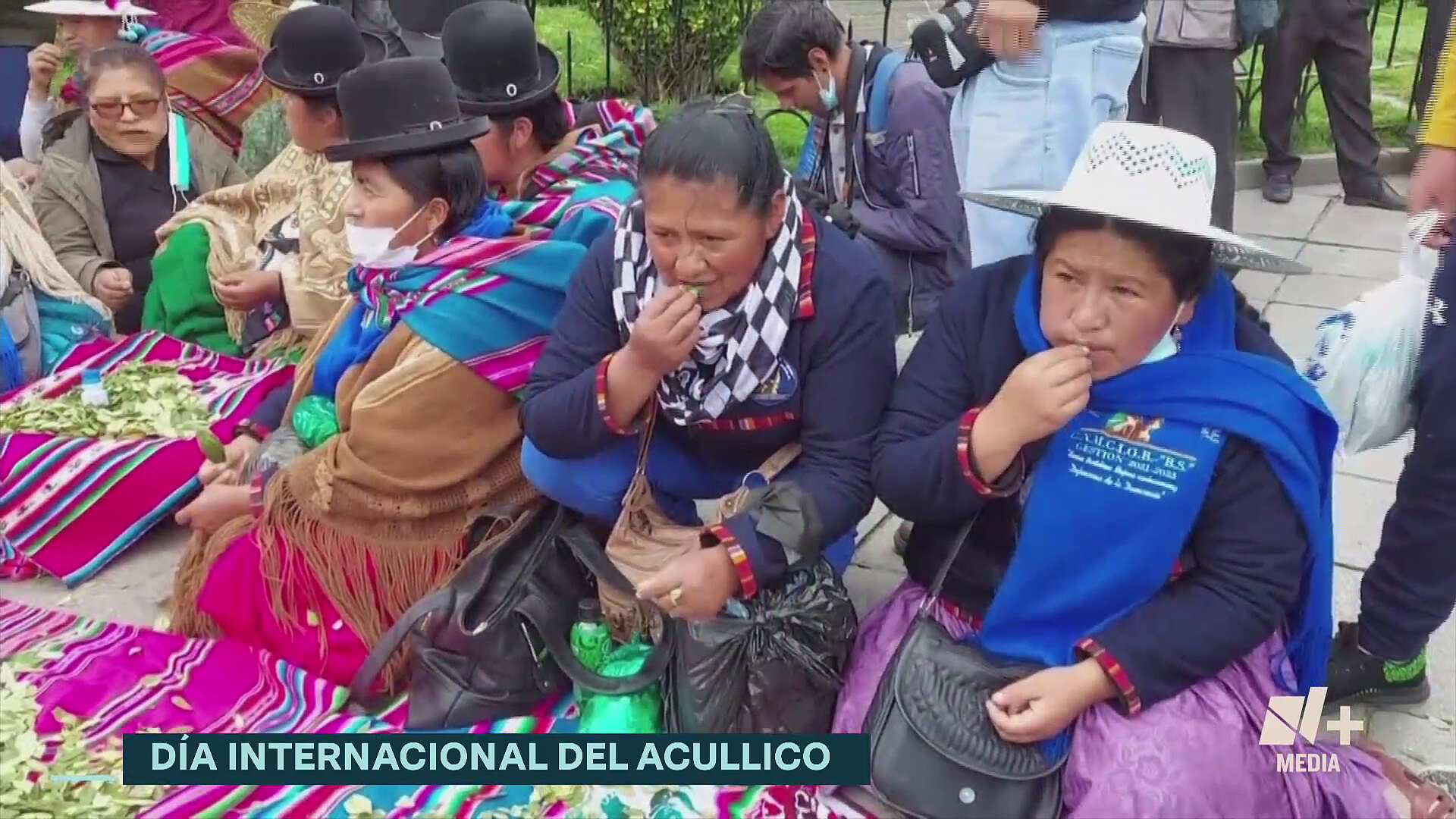 Celebran en Bolivia el Día Nacional del “Acullico” masticando hojas de