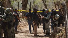 ¿Cuál es el origen de la violencia en Michoac...