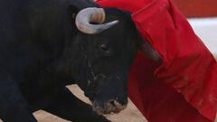 Toro noquea a jinete en Oaxaca