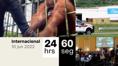 Resumen Internacional: Orangután ataca a homb...