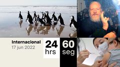 Resumen Internacional: Rehabilitan a pingüino...