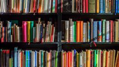 Recomendaciones de series, libros y podcasts ...