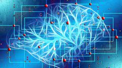Inteligencia Artificial: ¿Están en peligro nu...
