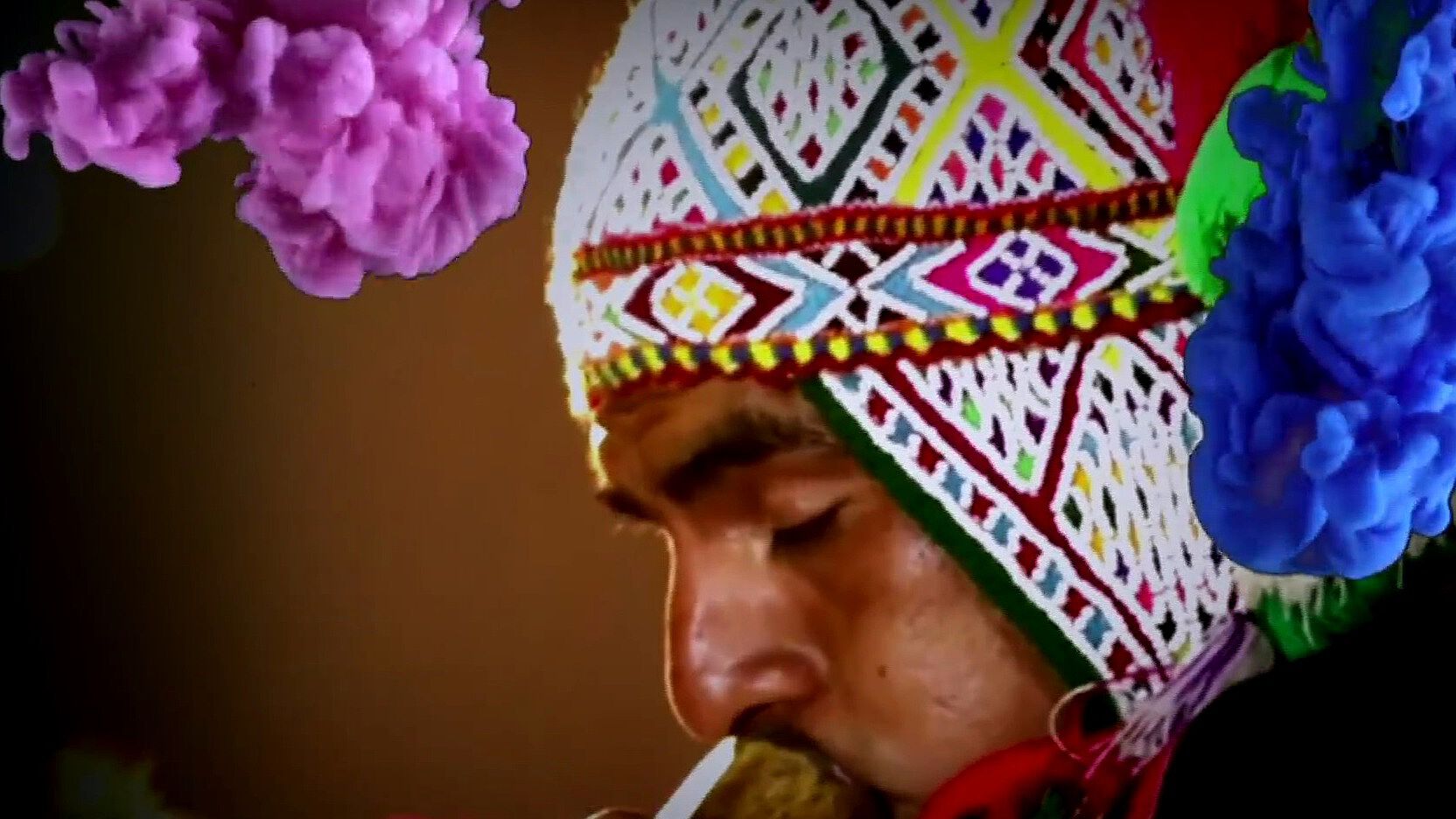 ¿Cuál es el origen de la ayahuasca, la medicina tradicional utilizada