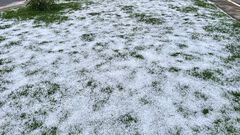 Granizada destruye cultivos de agave en Arand...