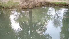 Sacan agua de arroyo en Escobedo