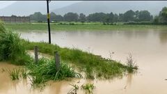Lluvias podrían aumentar los niveles de los r...