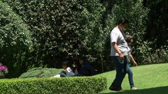 Cervatilla nace en Casa Puebla y atrae a fami...