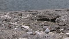 Lago y presa de Valsequillo presenta problema...