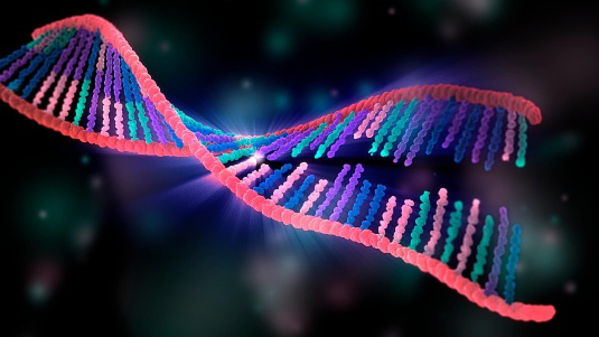 Día Mundial del ARN ¿cuál es la función del ácido ribonucleico? N+