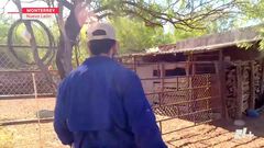 Ganaderos viven días complicados por falta de...