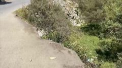 Matan a puñaladas a una mujer en la sierra de...