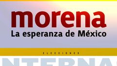 ¿Qué se eligió en elecciones de Morena?