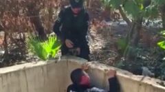 Policías rescatan a perrito atrapado en drena...