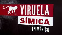 México suma 91 casos de viruela del mono; CDM...