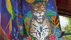 Mujer indígena pinta mural de 7 metros y medi...