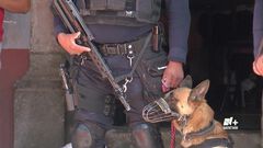 Policía estatal implementó un operativo de se...