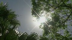 Canícula: mitos y realidades sobre este fenóm...