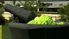 Molcajete gigante con guacamole decora centro...