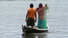 Actividad pesquera en Coatzacoalcos ha aument...