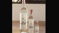 Crean mezcal que ayuda a indígenas con discap...