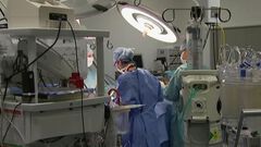 Avance científico permitirá mayor compatibili...