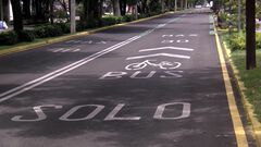 Bus Bici Guadalajara entrará en funcionamient...