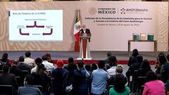¿Qué revela el nuevo informe sobre la desapar...