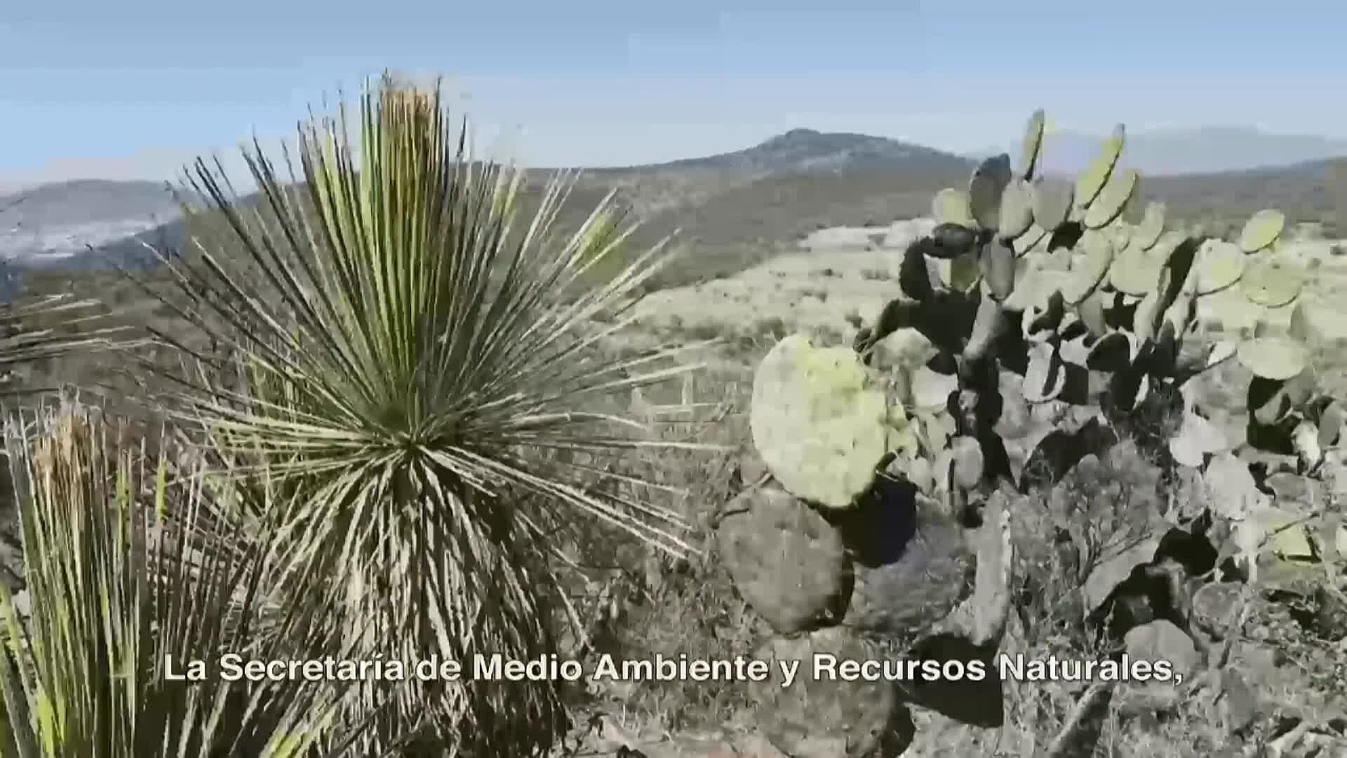 Se Mantendrá en Vigilancia la Nueva Área Natural Peña Colorada | N+