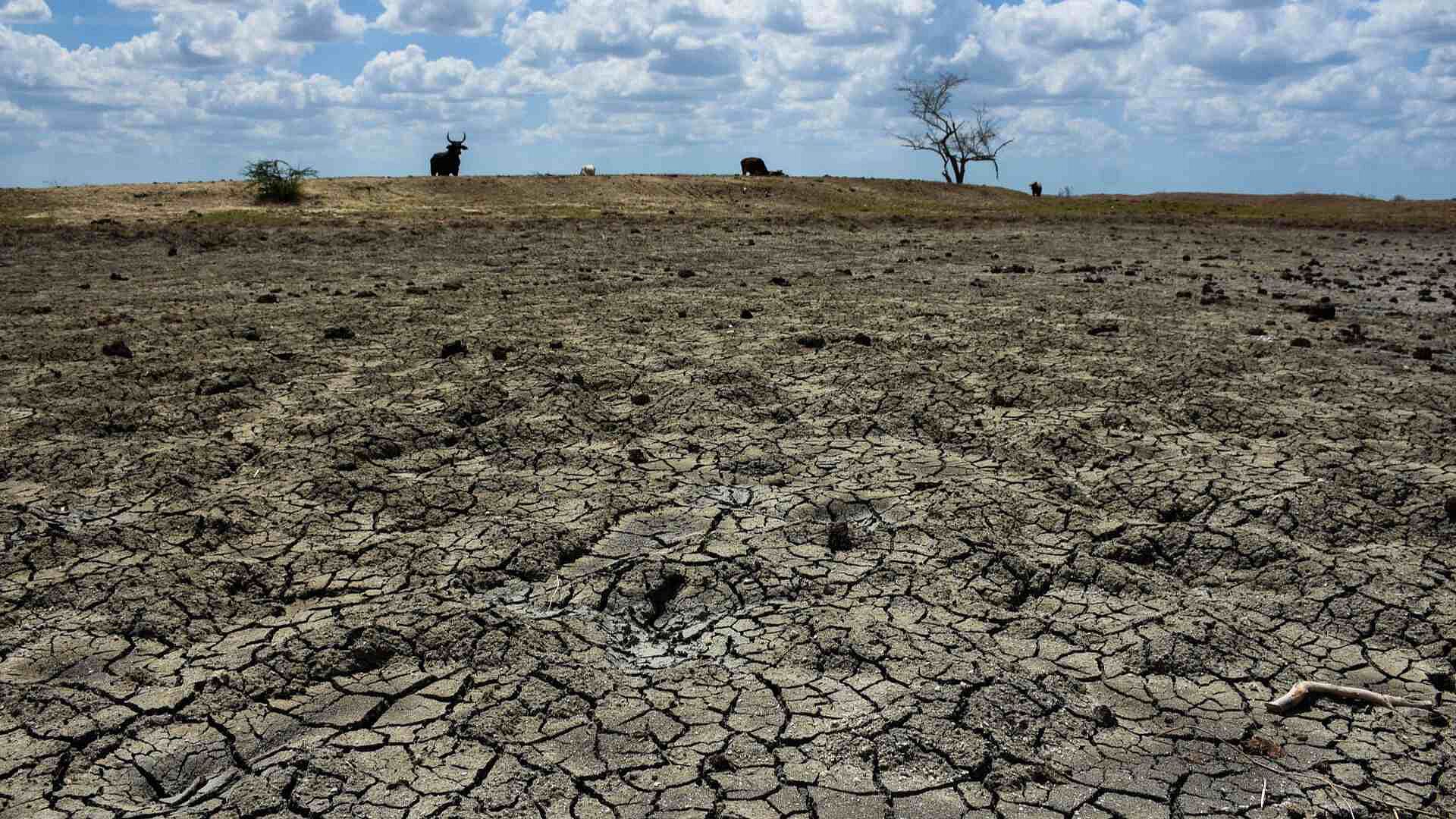 Así se Ve el Monitor de Sequía en México | N+
